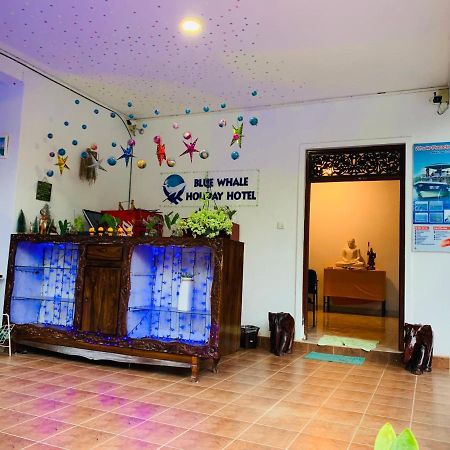 Blue Whale Holiday Hotel Mirissa Exterior photo