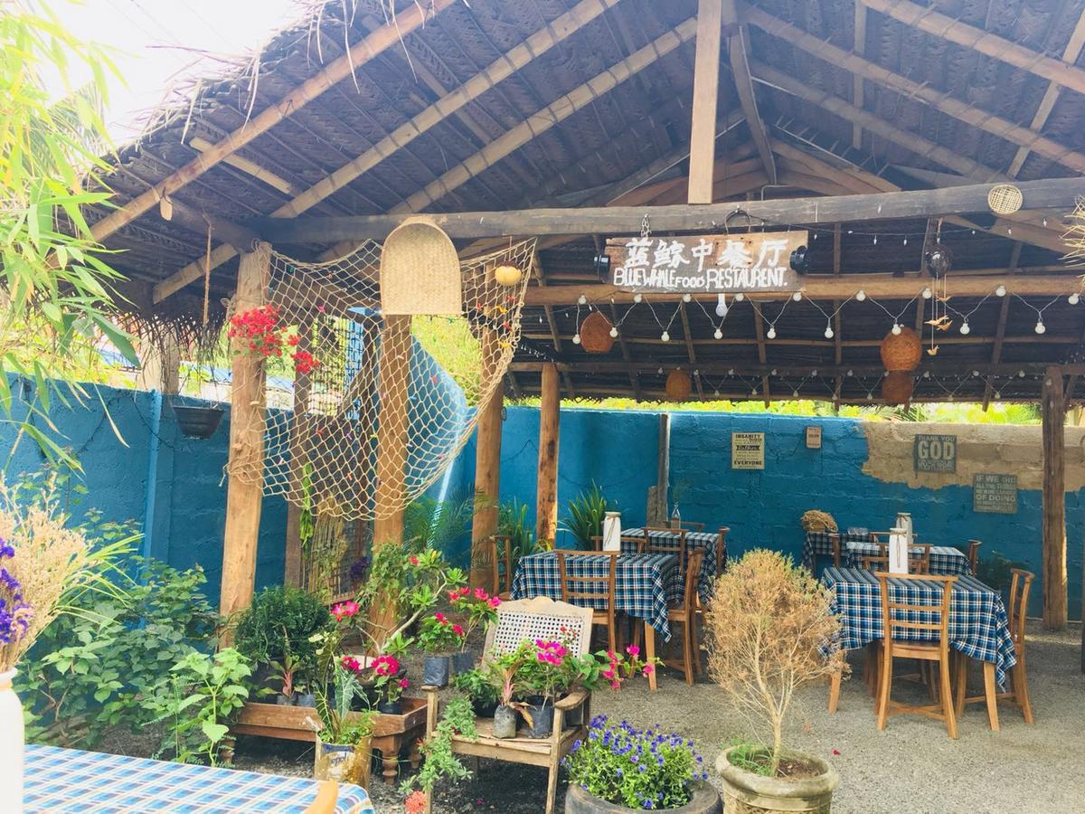 Blue Whale Holiday Hotel Mirissa Exterior photo