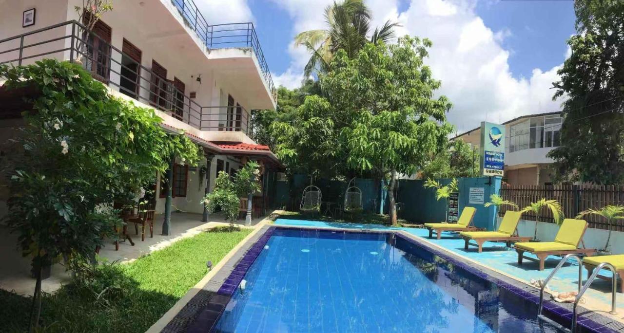 Blue Whale Holiday Hotel Mirissa Exterior photo