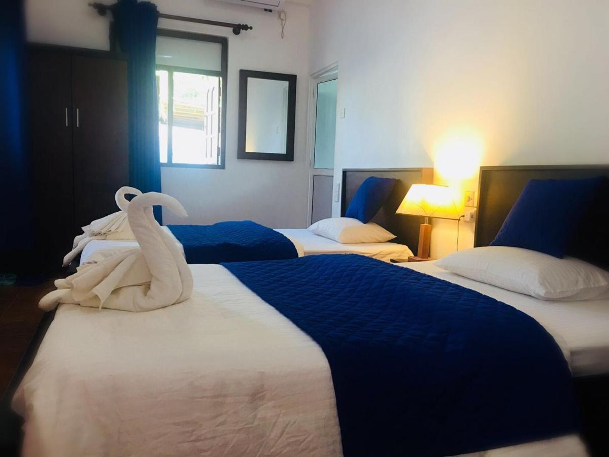 Blue Whale Holiday Hotel Mirissa Room photo